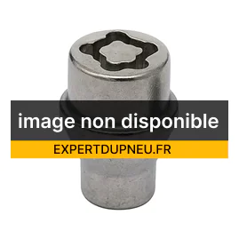 Antivol Racimex SLEVE BESTEL F 1225 KEGS