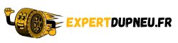 logo-expert-pneu